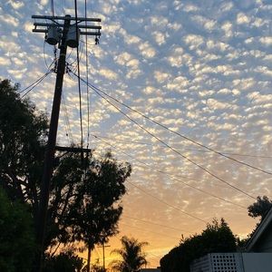 Meet your Posher, Jane